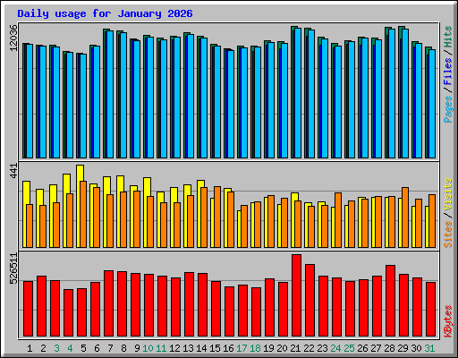 Daily usage for January 2026
