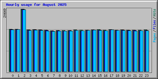 Hourly usage for August 2025
