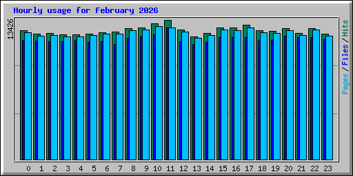 Hourly usage for February 2026