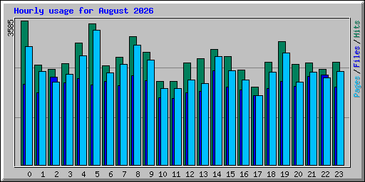 Hourly usage for August 2026